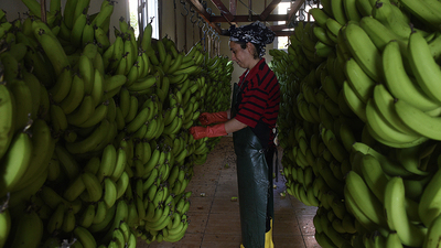 On iki yılda 5 dekar alandan 673 dekara!