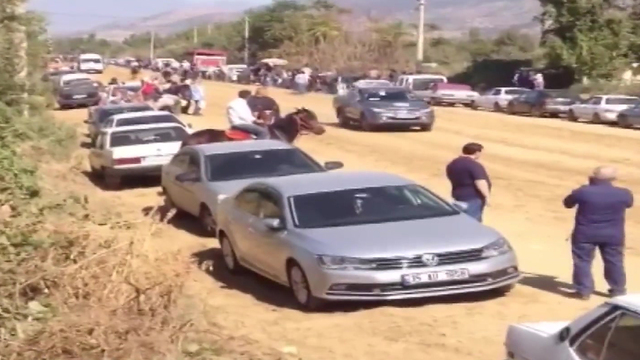 Ödemiş'te iki at çarpıştı... İlginç kaza kameralara yansıdı