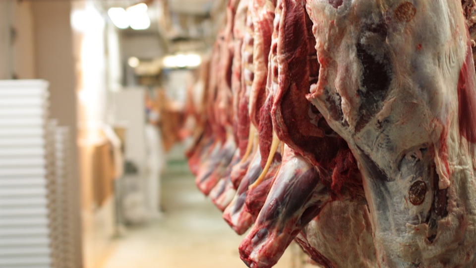 Karkas et alım fiyatlarında değişiklik