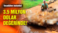 3.5 milyon dolar değerinde!