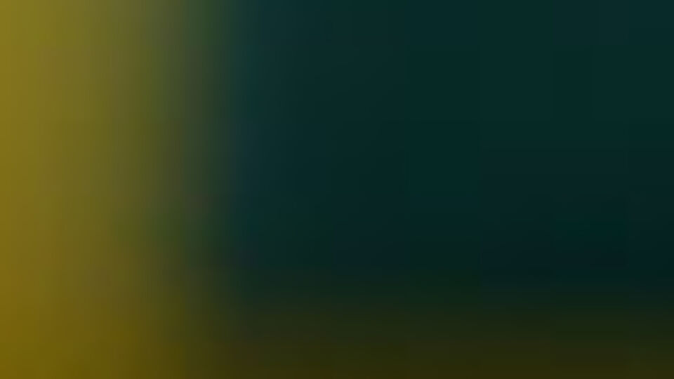 MHP Lideri Bahçeli "Siyasi kombini" açıkladı