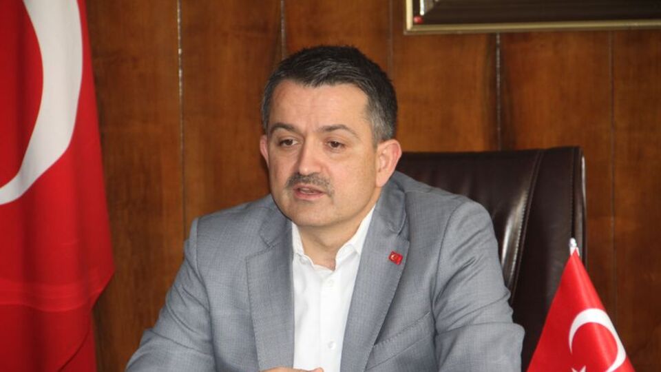 Besiciye yem desteği