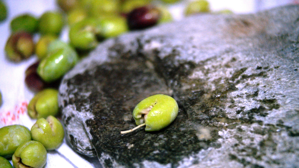 Taş ve tahtayla kırıyor, kilogramını 12 liradan satıyorlar