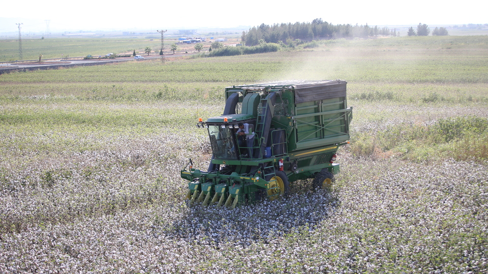 "Makineli hasat" pamuk üreticisinin yüzünü güldürüyor