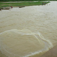 Mali'de kano faciası: 17 ölü