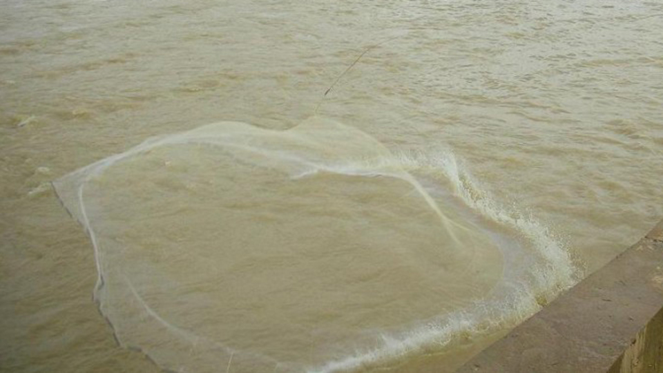 Mali'de kano faciası: 17 ölü