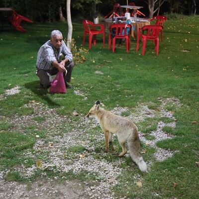 Her gün lokantaya geliyor...