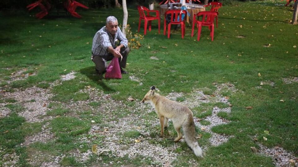 Her gün lokantaya geliyor...