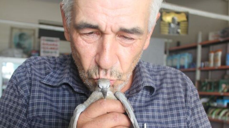 Yavruyken buldu, bir daha ayrılamadı!