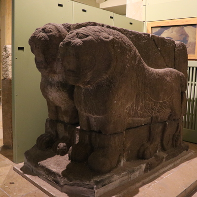 85 yıl sonra evine döndü!