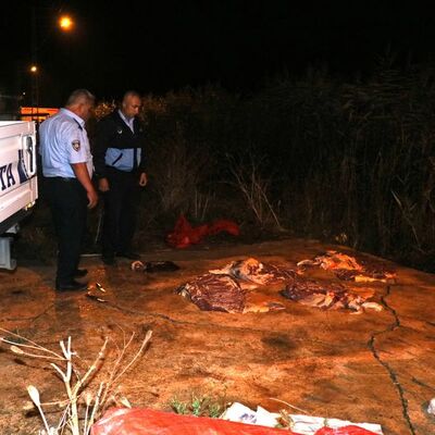 Adana'da gece yarısı baskını! 400 kilogram at eti ele geçirildi