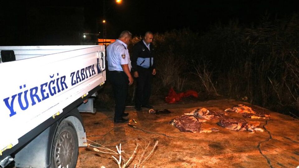 Adana'da gece yarısı baskını! 400 kilogram at eti ele geçirildi