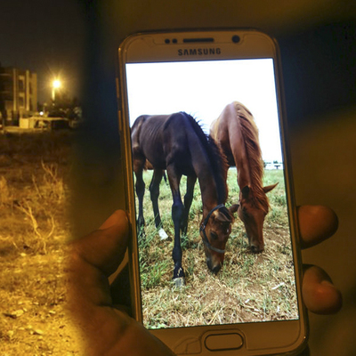 "Çalındı" demişti, ahırın kapısı yokmuş!