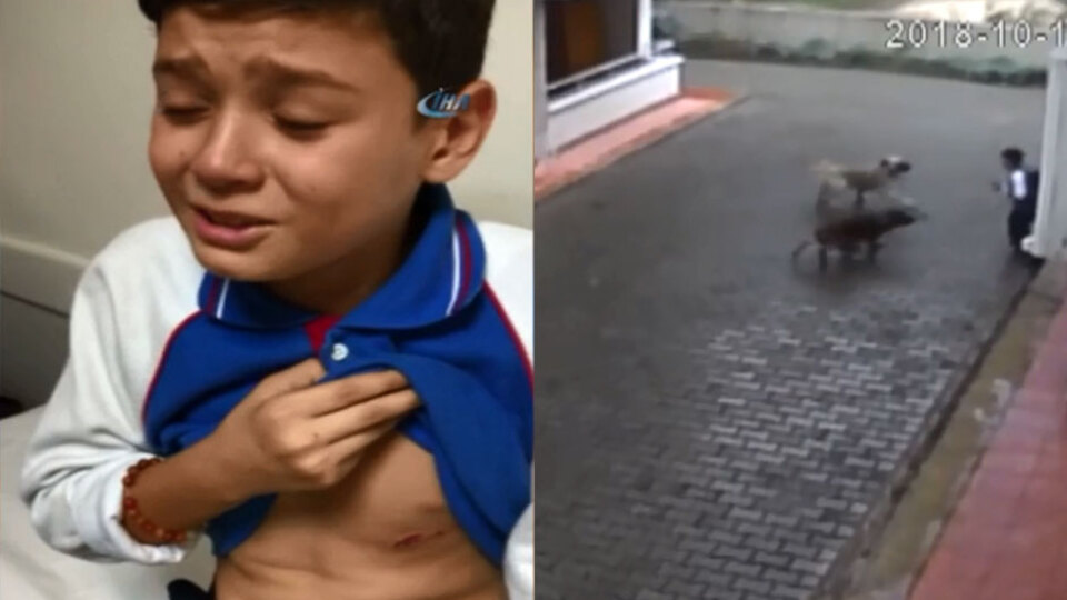 Okul dönüşü kabusu yaşadı