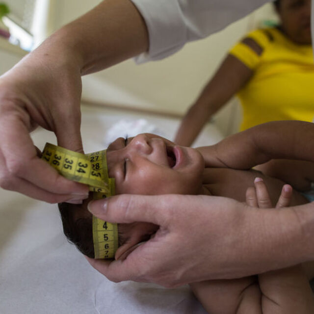 Hindistan'da Zika virüsü tespit edilen kişi sayısı 100'e yükseldi