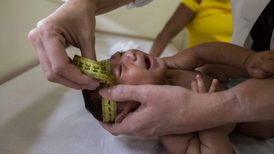 Hindistan'da Zika virüsü tespit edilen kişi sayısı 100'e yükseldi