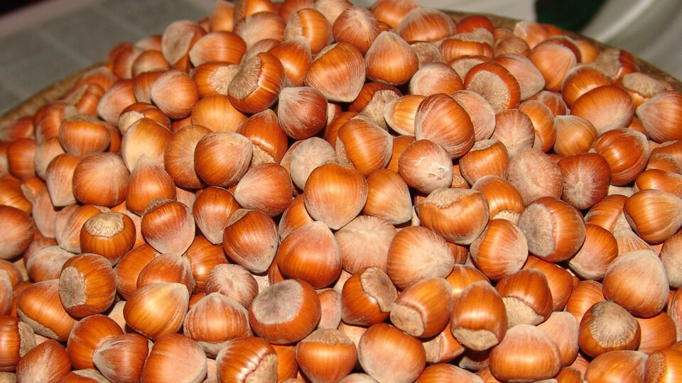 Bakan Pakdemirli'den fındık açıklaması