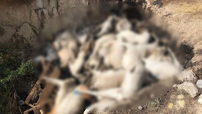 Aç bıraktılar, ölünce de çukura atıp yaktılar