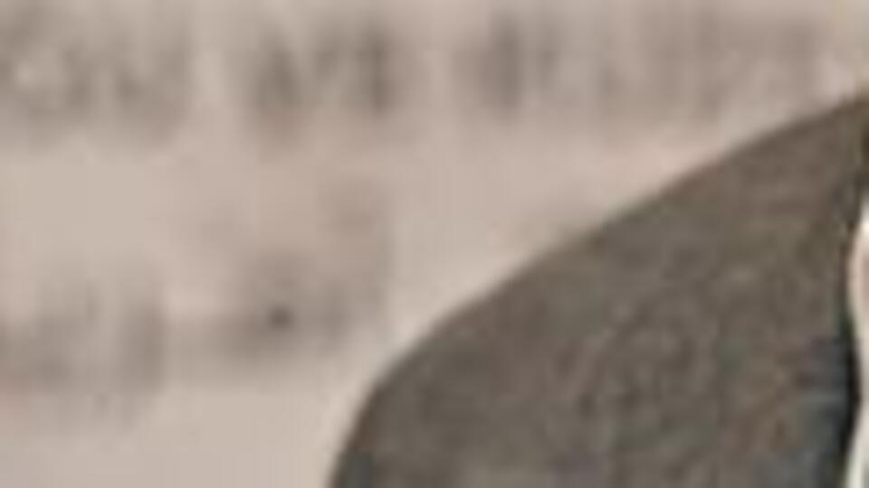 Reuters: Türk polisi Kaşıkçı'nın cesedini bulmak üzere!