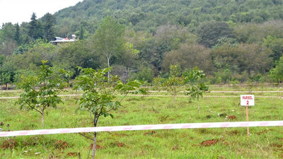 2B'den 2 milyar lira gelir!