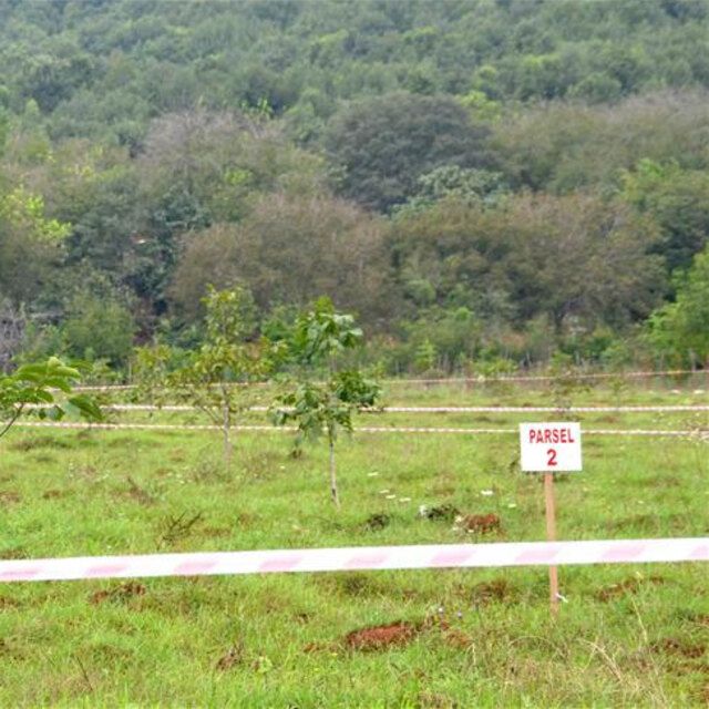 2B'den 2 milyar lira gelir!