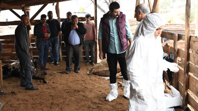 Ahıra girdiğinde korkunç manzarayla karşılaştı