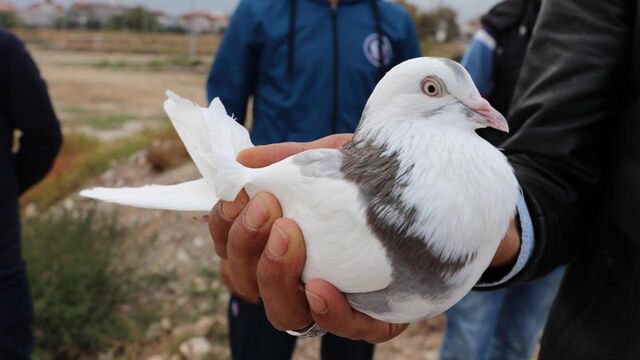 Araba verdiler istemedi! İşte biçtiği değer