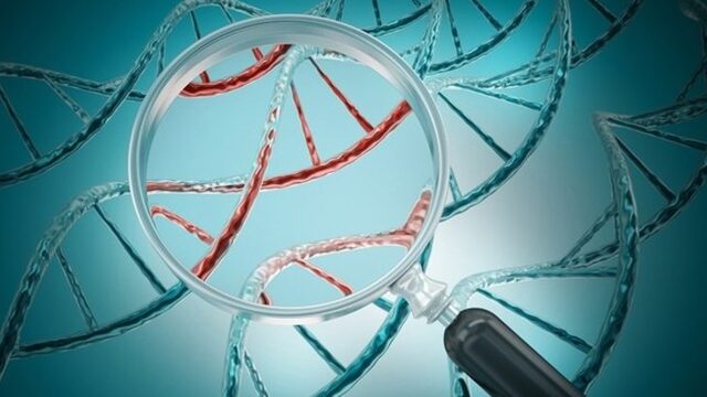 SMA hastalığı nedir?