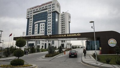 Bakanlık'tan O gemideki hayvanlara ilişkin açıklama