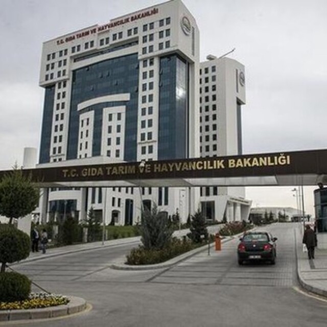 Bakanlık'tan O gemideki hayvanlara ilişkin açıklama