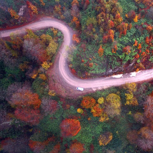Batı Karadeniz yaylalarında güze veda