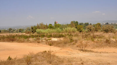 'Üniversite kuracağız' dediler 11 milyon lira dolandırdılar!