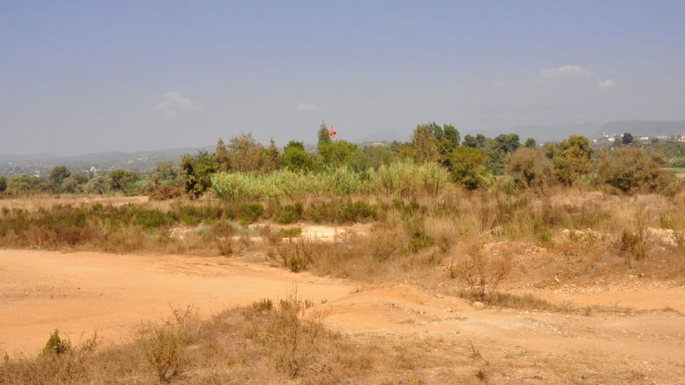 'Üniversite kuracağız' dediler 11 milyon lira dolandırdılar!