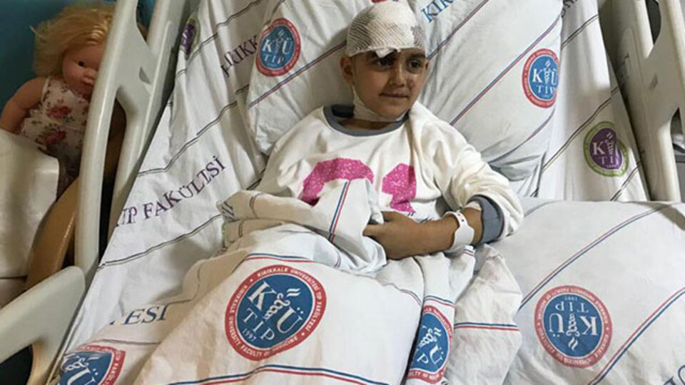 Kırşehir'de Pitbull dehşeti!