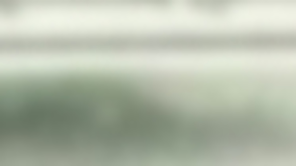 Suudi Arabistan gazetesinde Kaşıkçı istifası