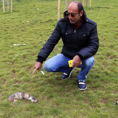 Kulaklarıyla ayaklarını kesip, parka attılar