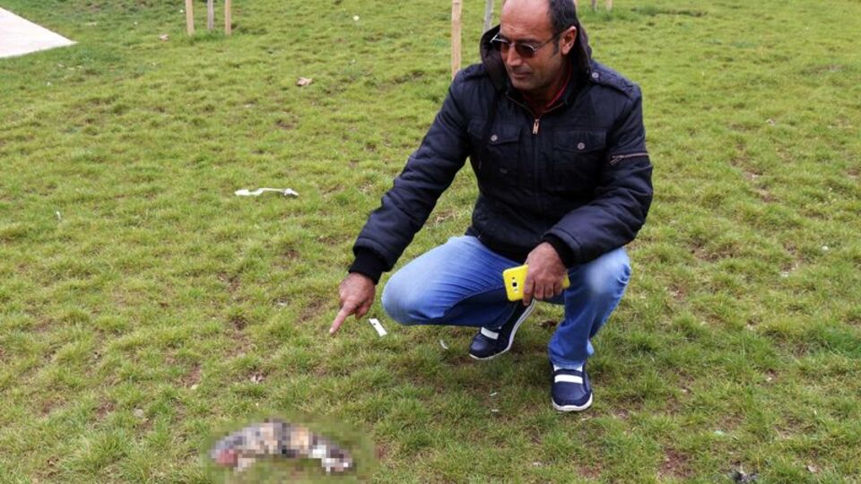 Kulaklarıyla ayaklarını kesip, parka attılar