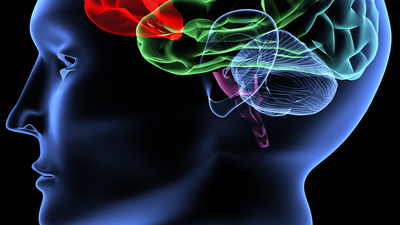 İTÜ'lü bilim insanlarının Alzheimer araştırmaları bilimsel makalelere konu edildi