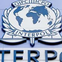 Interpol'ün aradığı mafya lideri Türkiye'de yakalandı