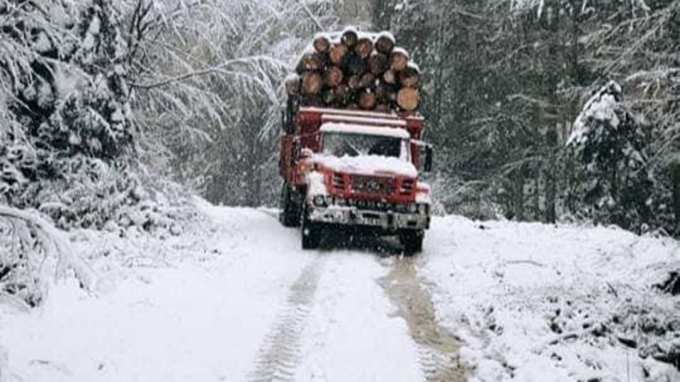 Kar yağışı yurtta etkisini göstermeye başladı