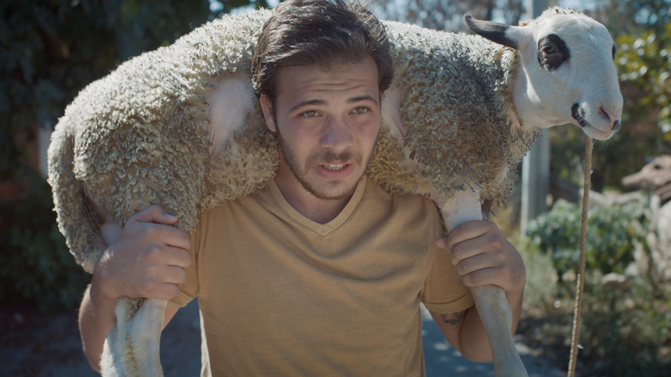 'Nebula'nın festival yolculuğu başlıyor