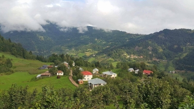 Ayılar iki ineği parçaladı!