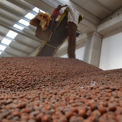 Cumhurbaşkanı Erdoğan'dan fındık üreticilerine müjde