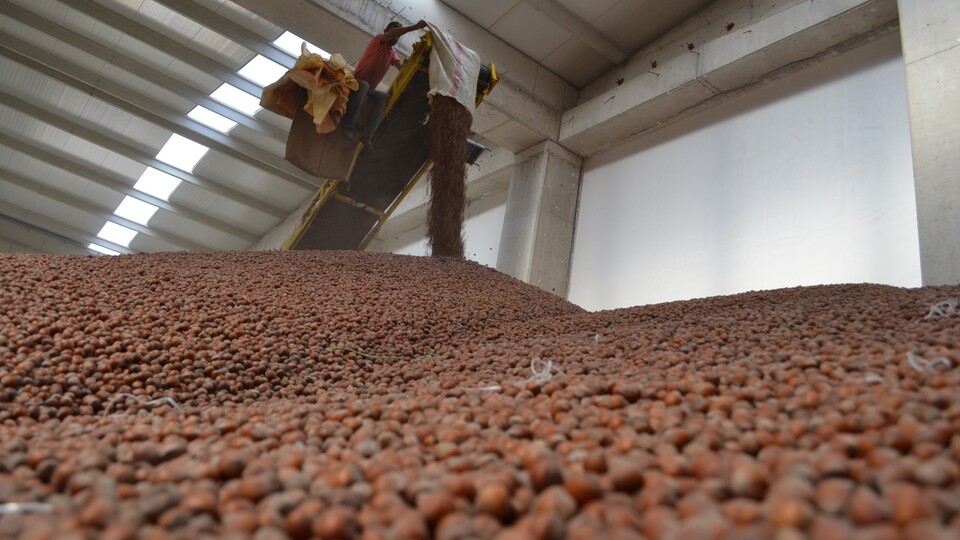 Cumhurbaşkanı Erdoğan'dan fındık üreticilerine müjde