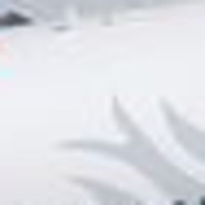 THY'den sefer iptali