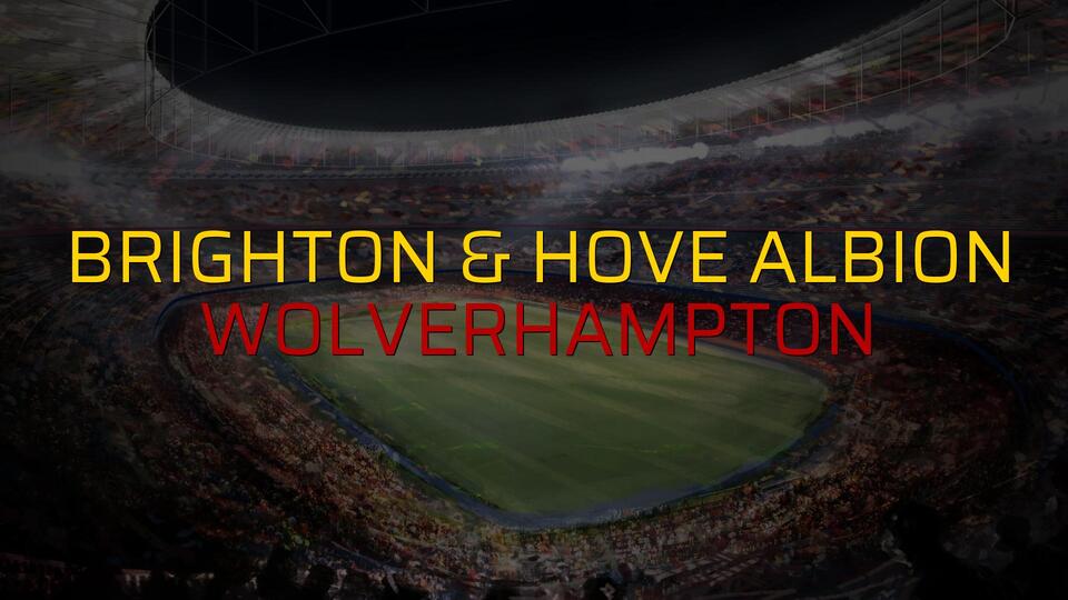 Maç sona erdi: Brighton & Hove Albion: 1 - Wolverhampton:0