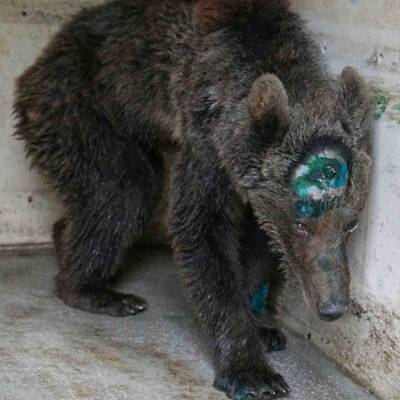 Bakan'dan yürekleri sızlatan olayla ilgili açıklama