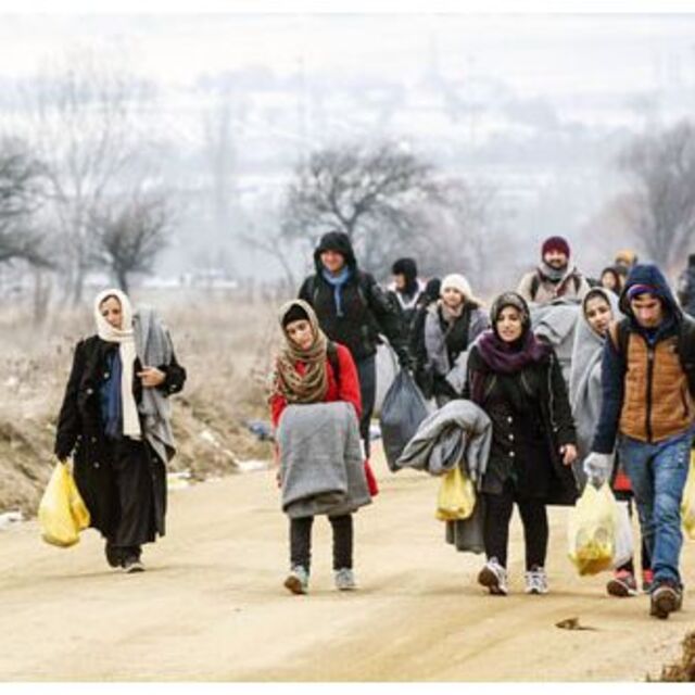 Milli Göç Politika Belgesi hazırlanacak