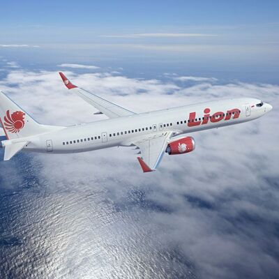 Endonezya'da yolcu uçağı düştü!