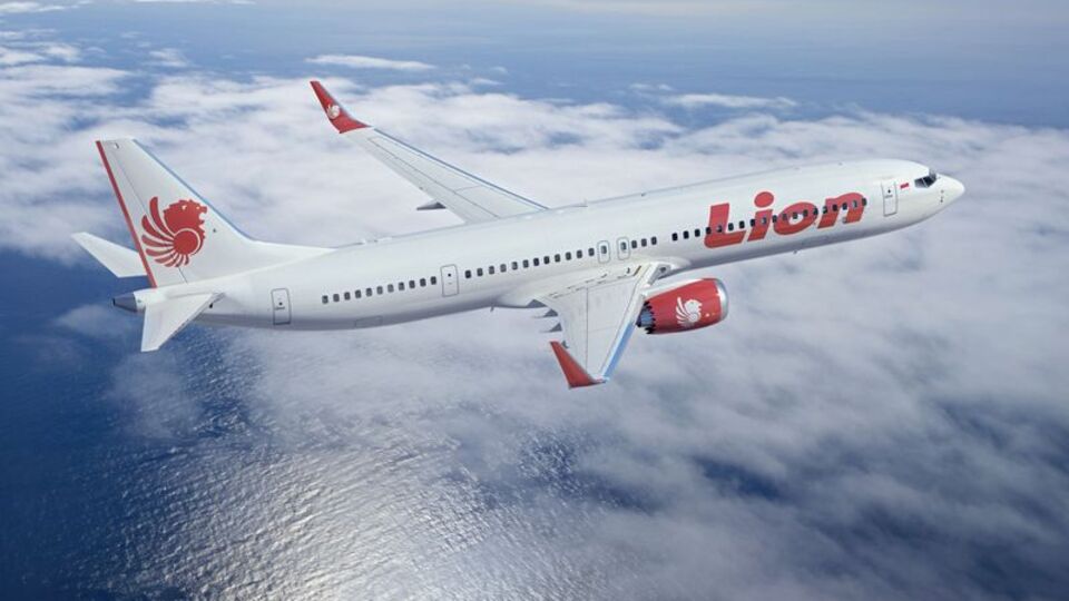 Endonezya'da yolcu uçağı düştü!